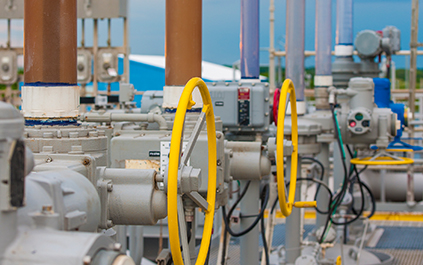 Louisiana Offshore Oil Port Services