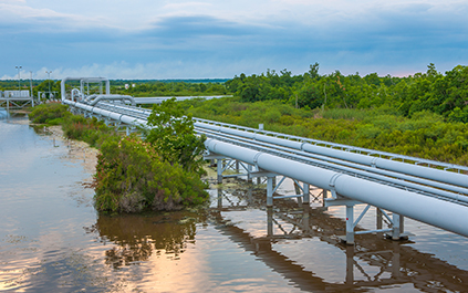Louisiana Offshore Oil Port Services
